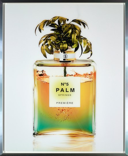 Palm Springs by Axel Crieger - Framed Diasec C-Type Print