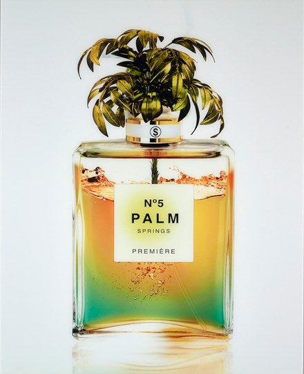 Palm Springs by Axel Crieger - Diasec C-Type Print